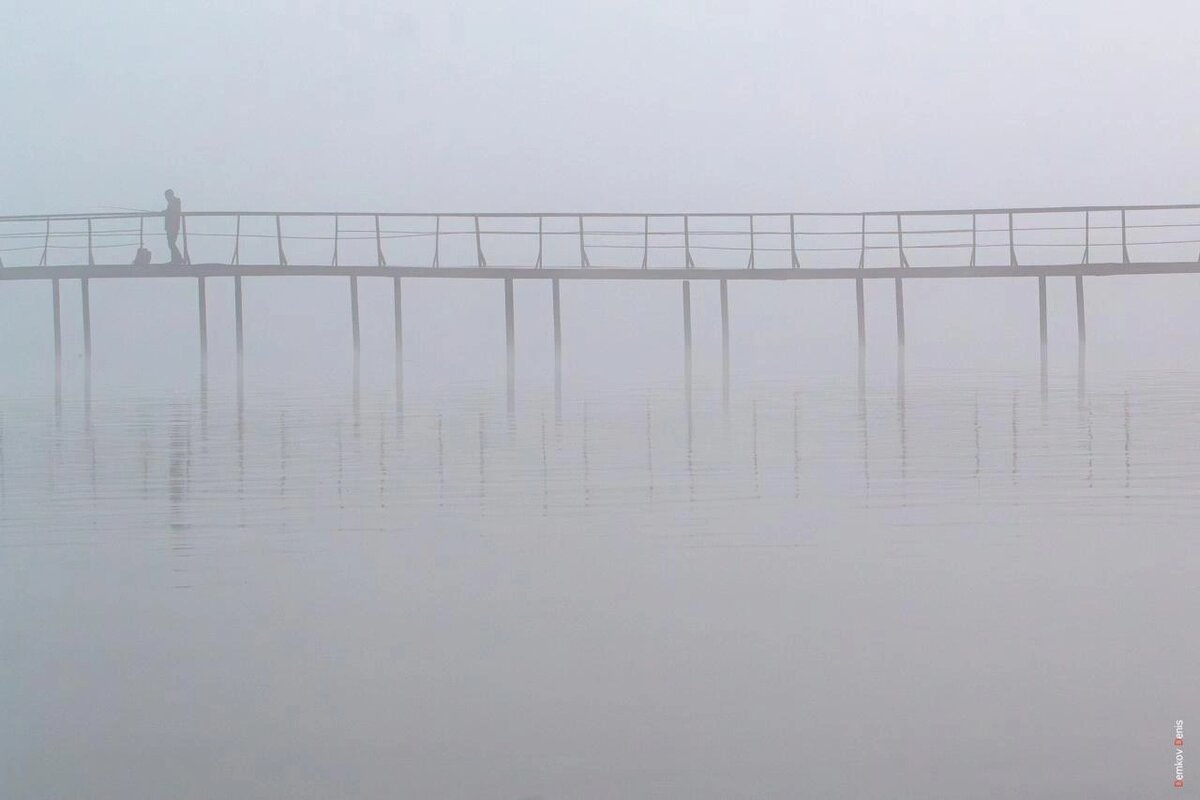    Фото: Денис Демков