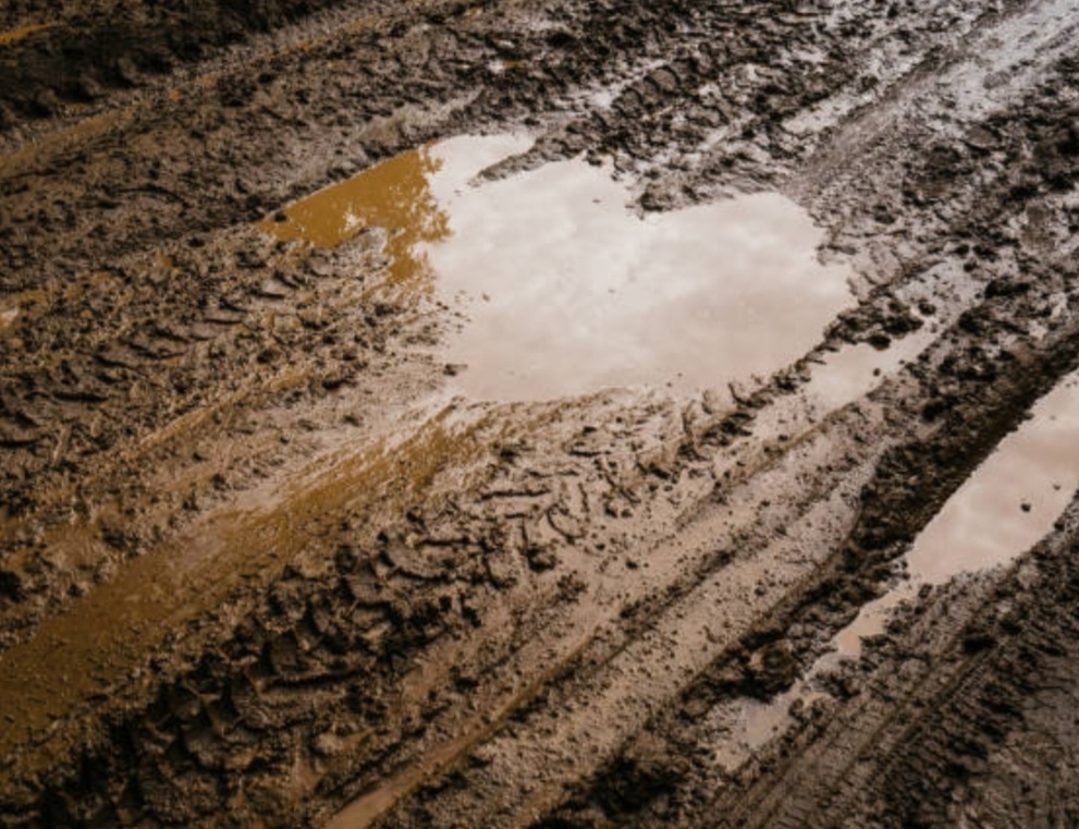 Гугл картинки. 