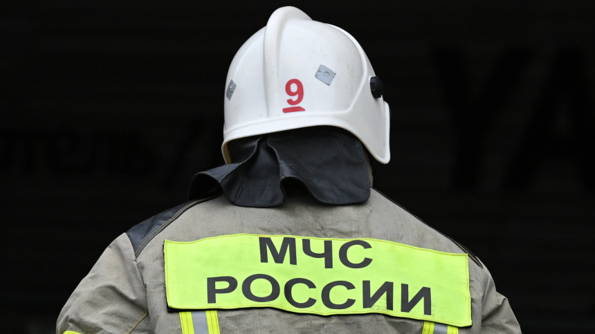    Фото: © РИА Новости/Константин Михальчевский