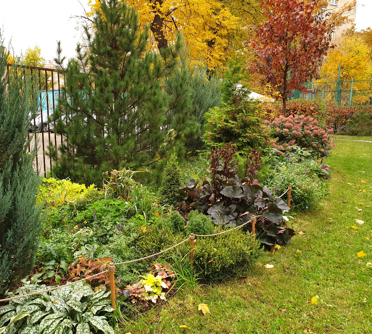 Московский двор. Осень 2019 года.