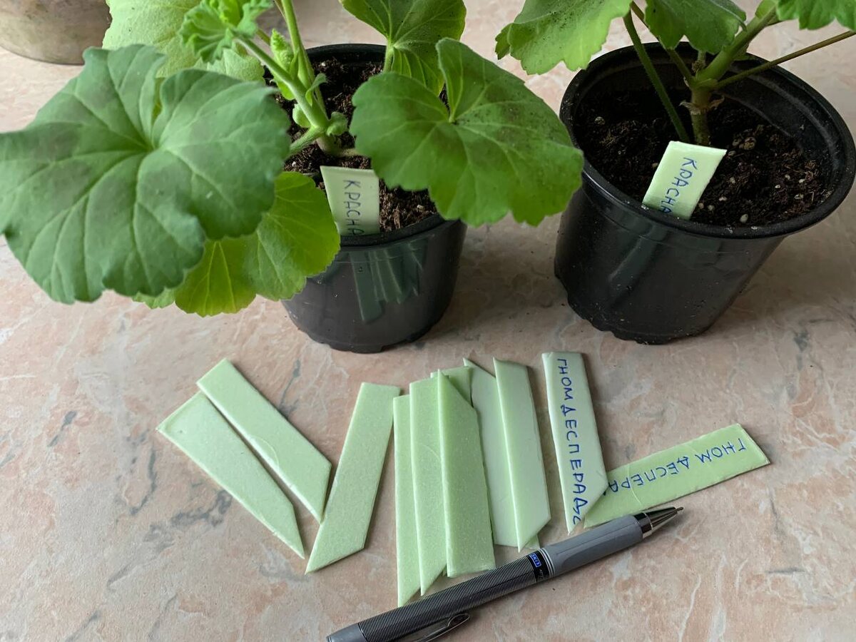 Мои бирки для растений. Фото автора 