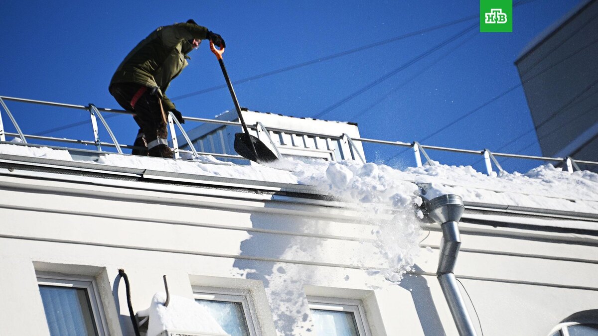    Фото: РИА Новости © 2026, Алексей Филиппов