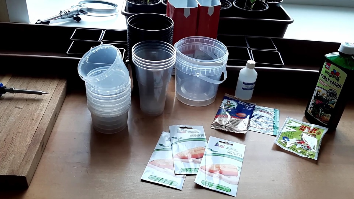 Обычно, я сею перец в сроки с 20 февраля по 10 марта.