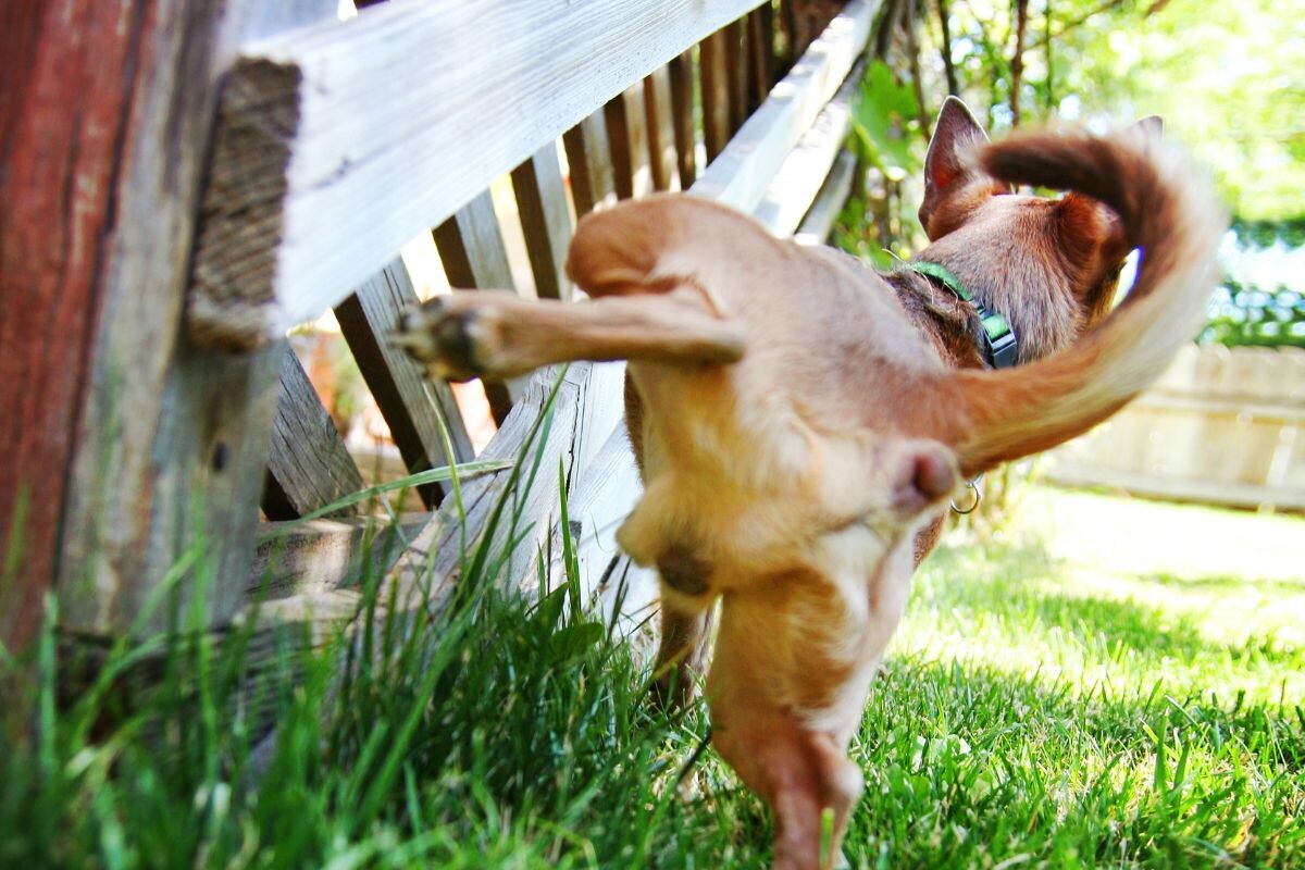 Маркировка 