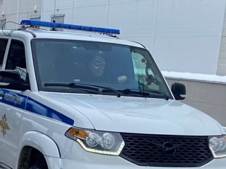     Фото: Елена Полякова