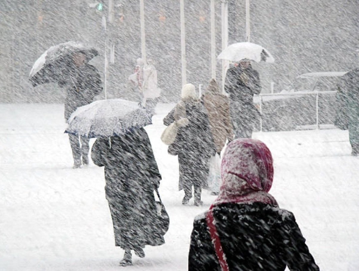    Фото: Istock / Dreef