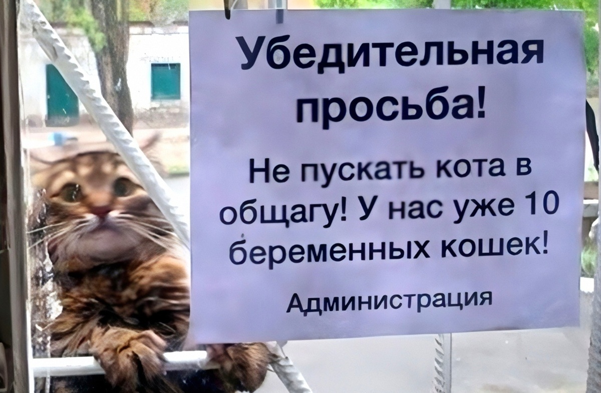 Вариант для наружного объявления: ГОСТЕВОЙ ПРОХОД в общагу только для ходаков,  oтcлуживших кoнтрaкт. 