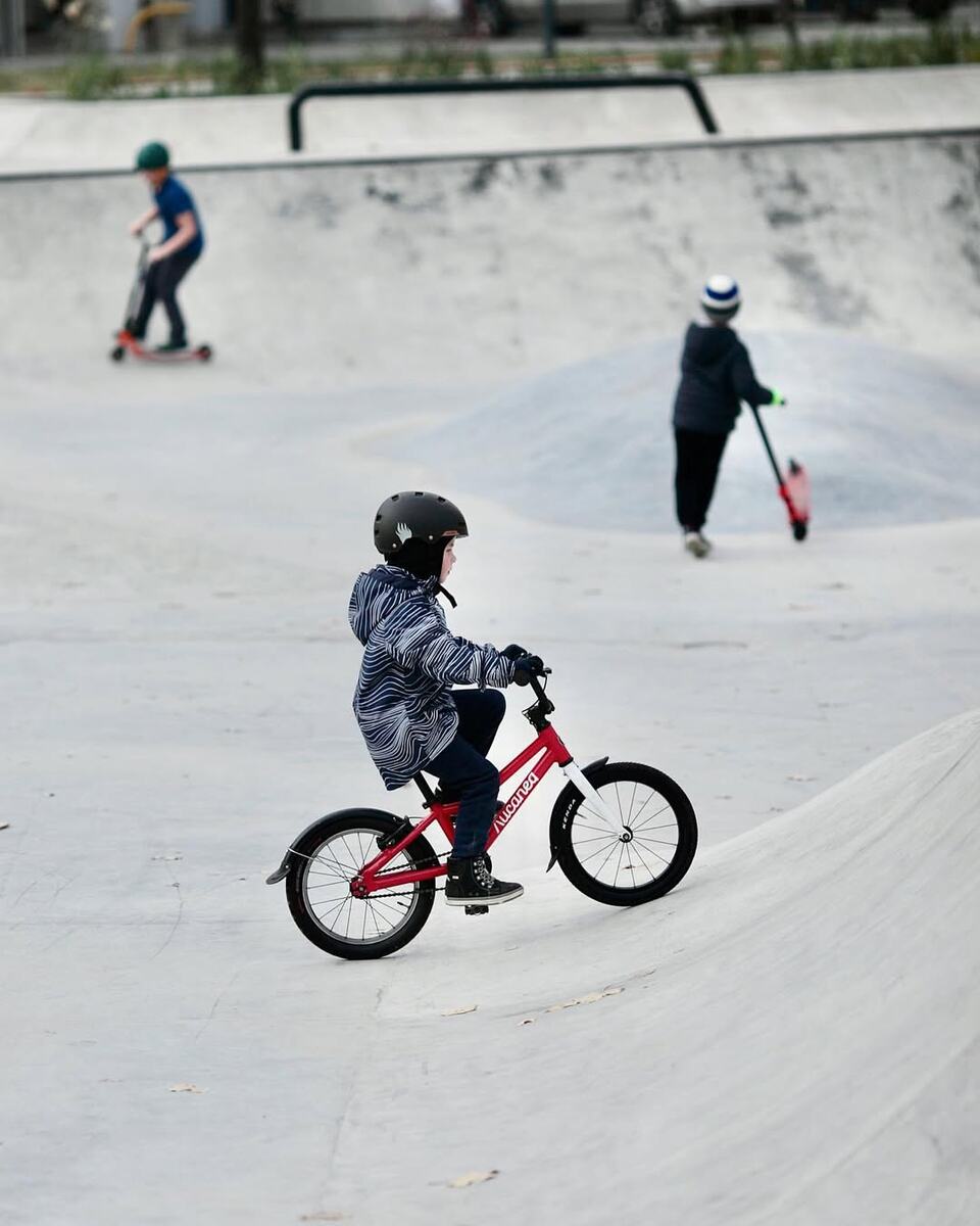 тг-канал @lisaped_media