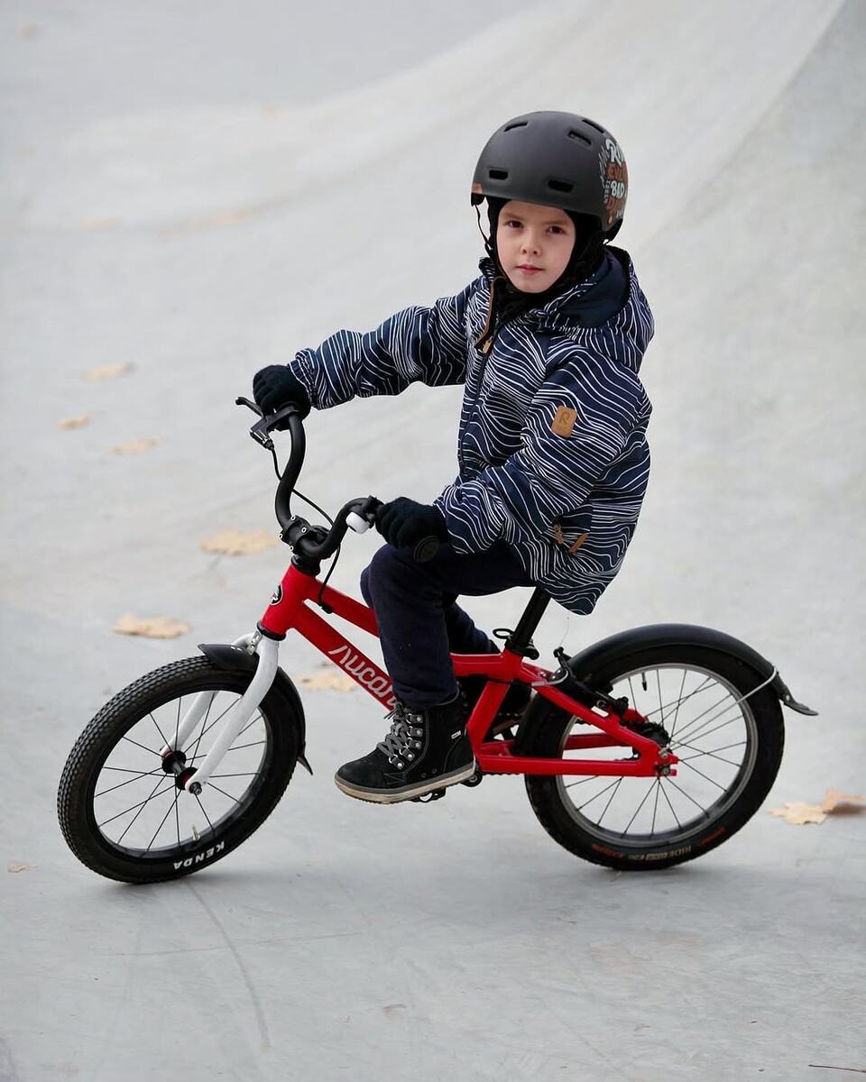 тг-канал @lisaped_media