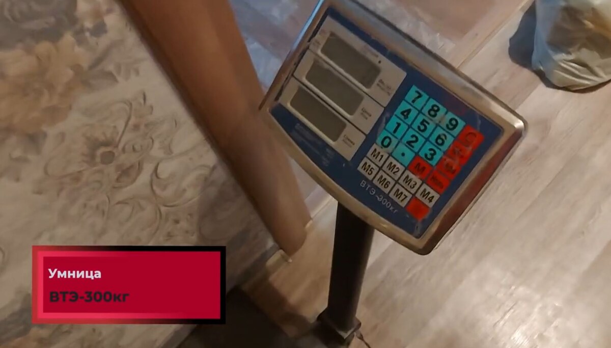 Умница ВТЭ-300кг.