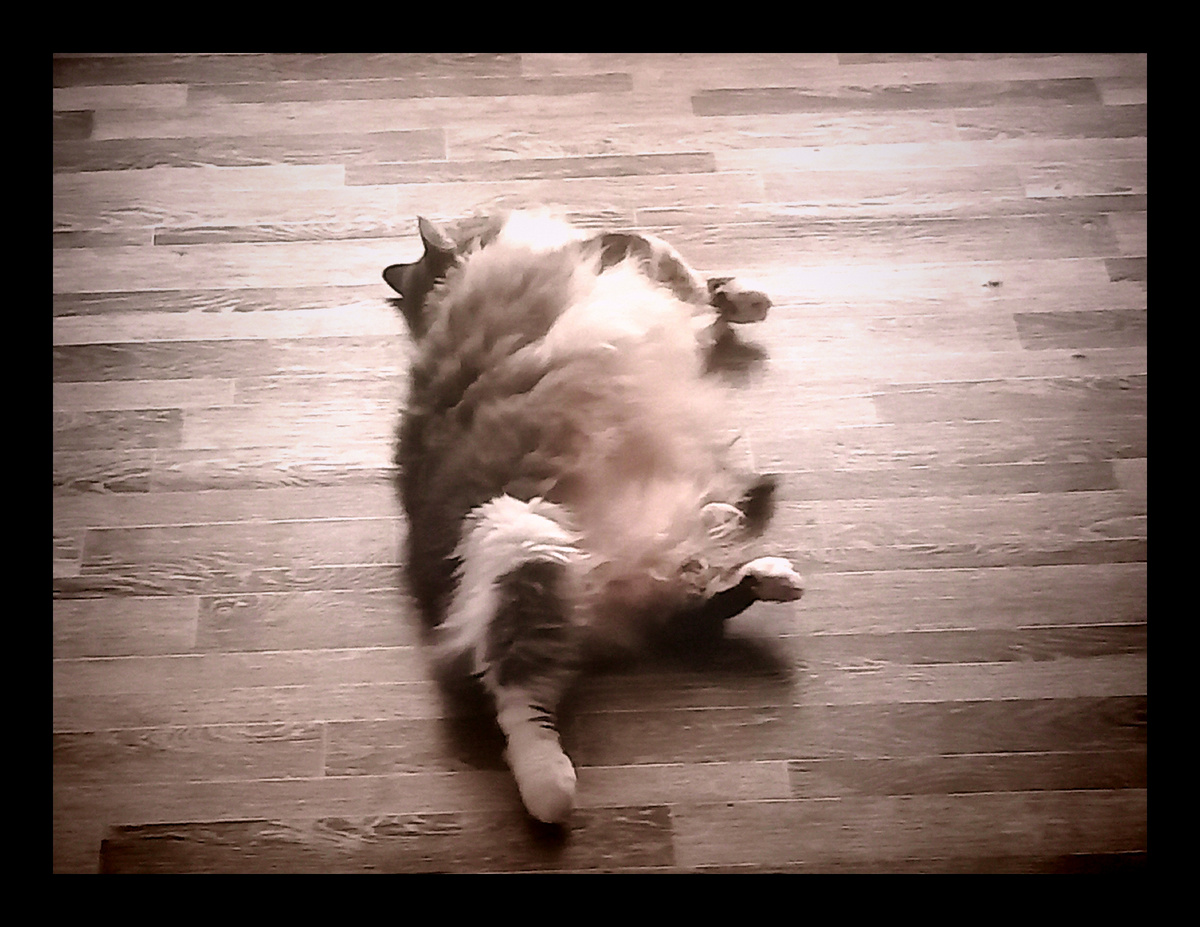 Фото автора