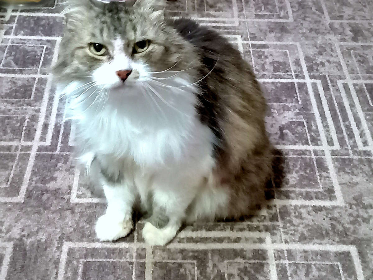 Фото автора 