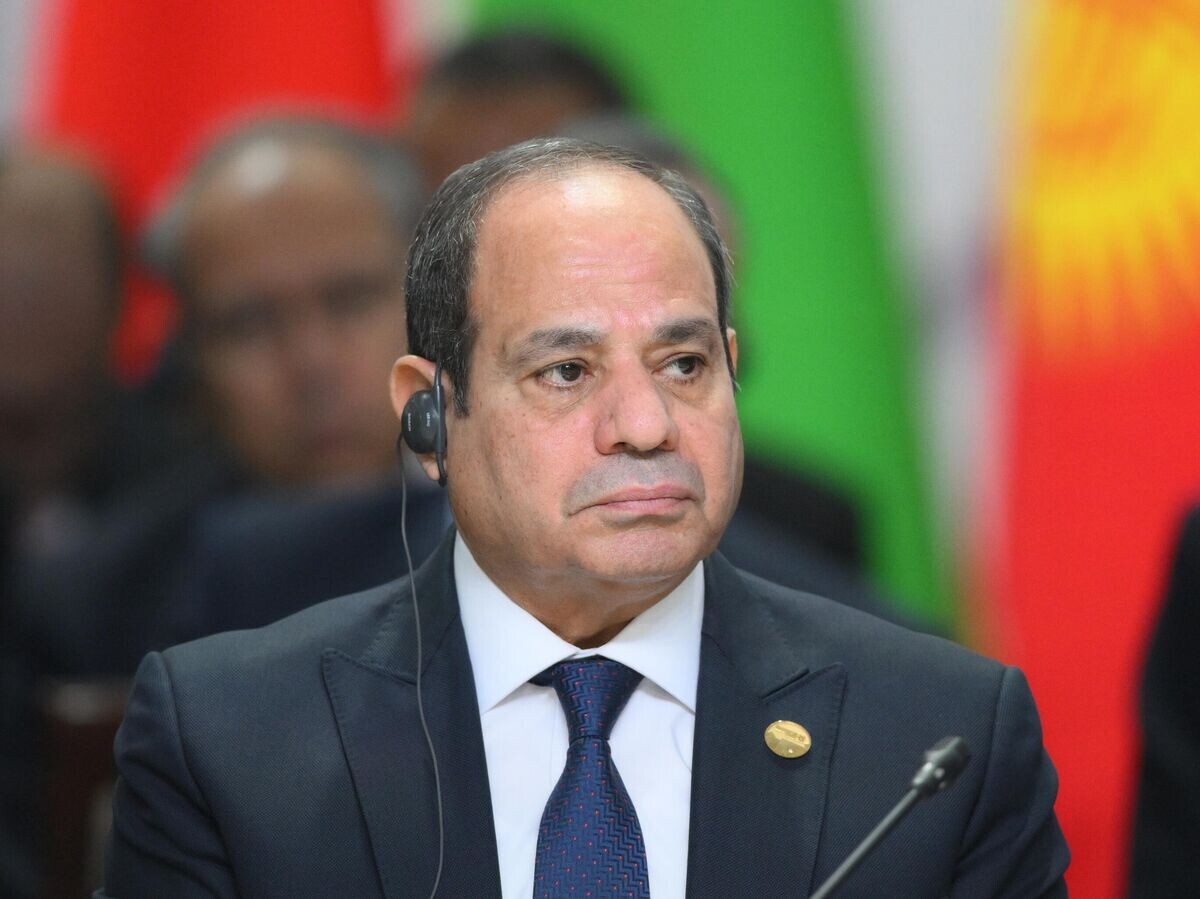    Президент Египта Абдель Фаттах ас-Сиси на пленарном заседании XVI саммита БРИКС в формате "аутрич" / "БРИКС плюс". | © Фотохост-агентство brics-russia2024.ru