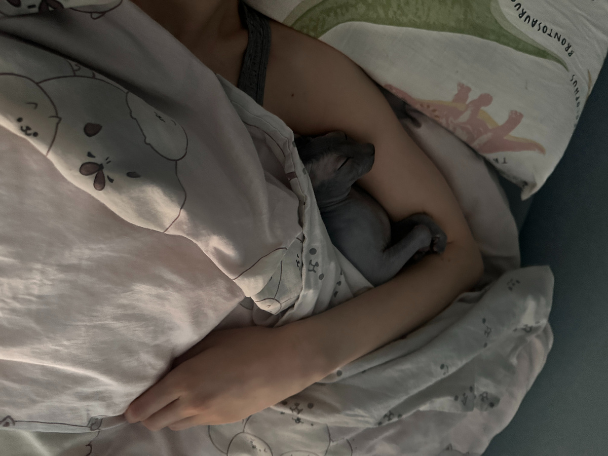 Эль приходит «досыпать» с нами по утрам