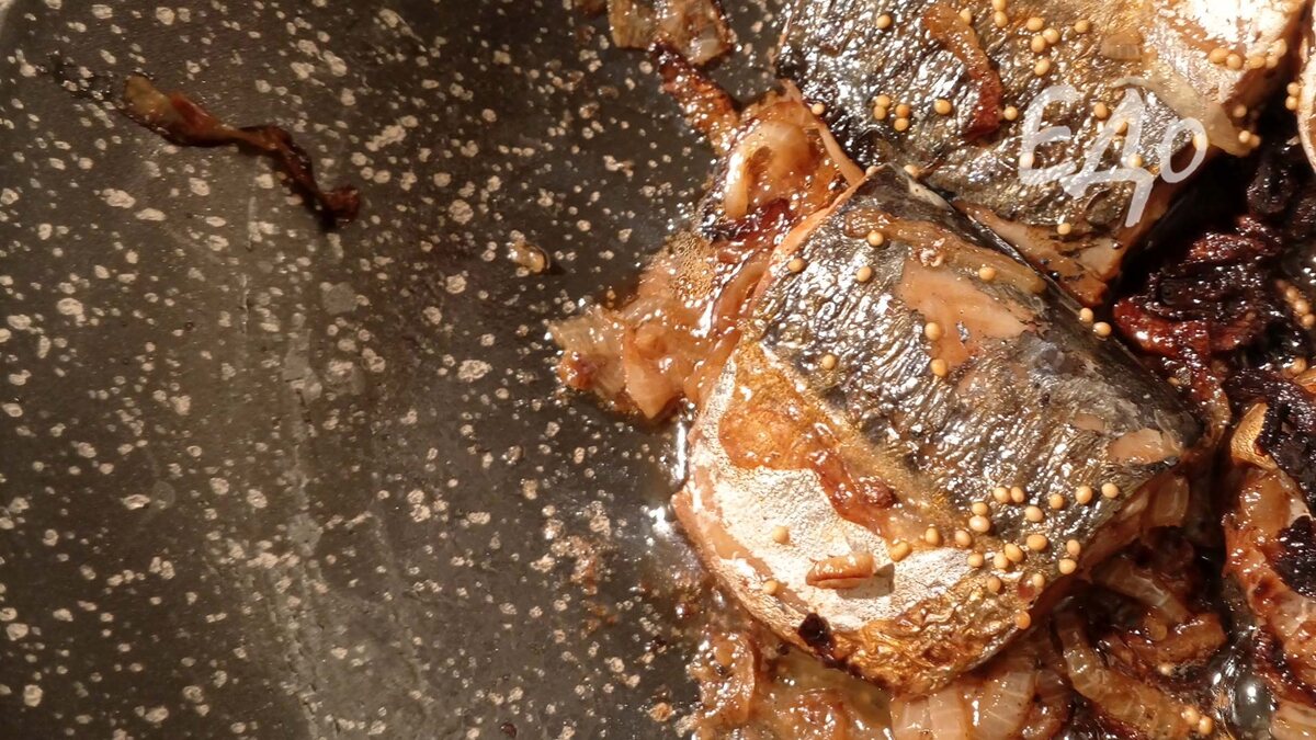 Скумбрия «Королевский рыб»