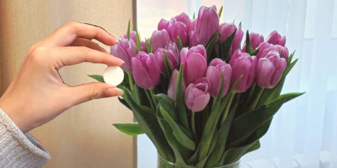 Всего 1 таблетка в воду и букет цветов "проживет" месяц - есть в любой аптечке