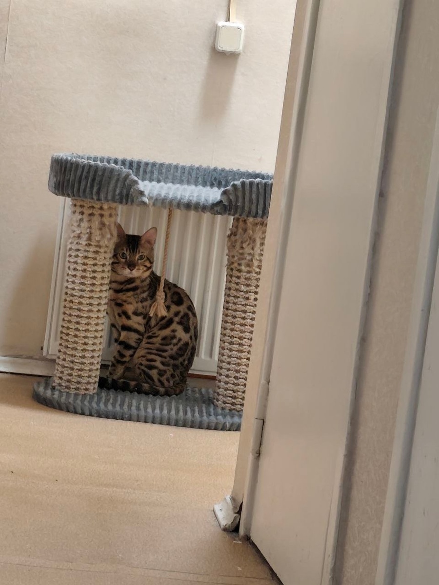 Всем большой привет и хороших выходных от меня 😽👑