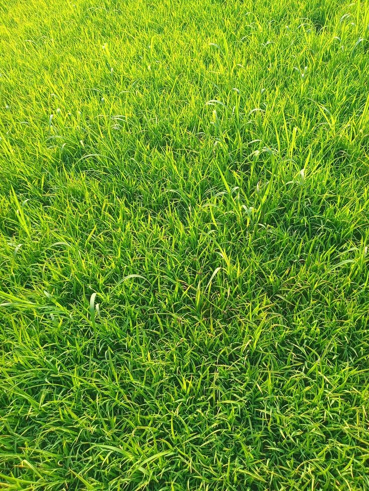 Чтобы узнать номер на описании акаунта нажмите 