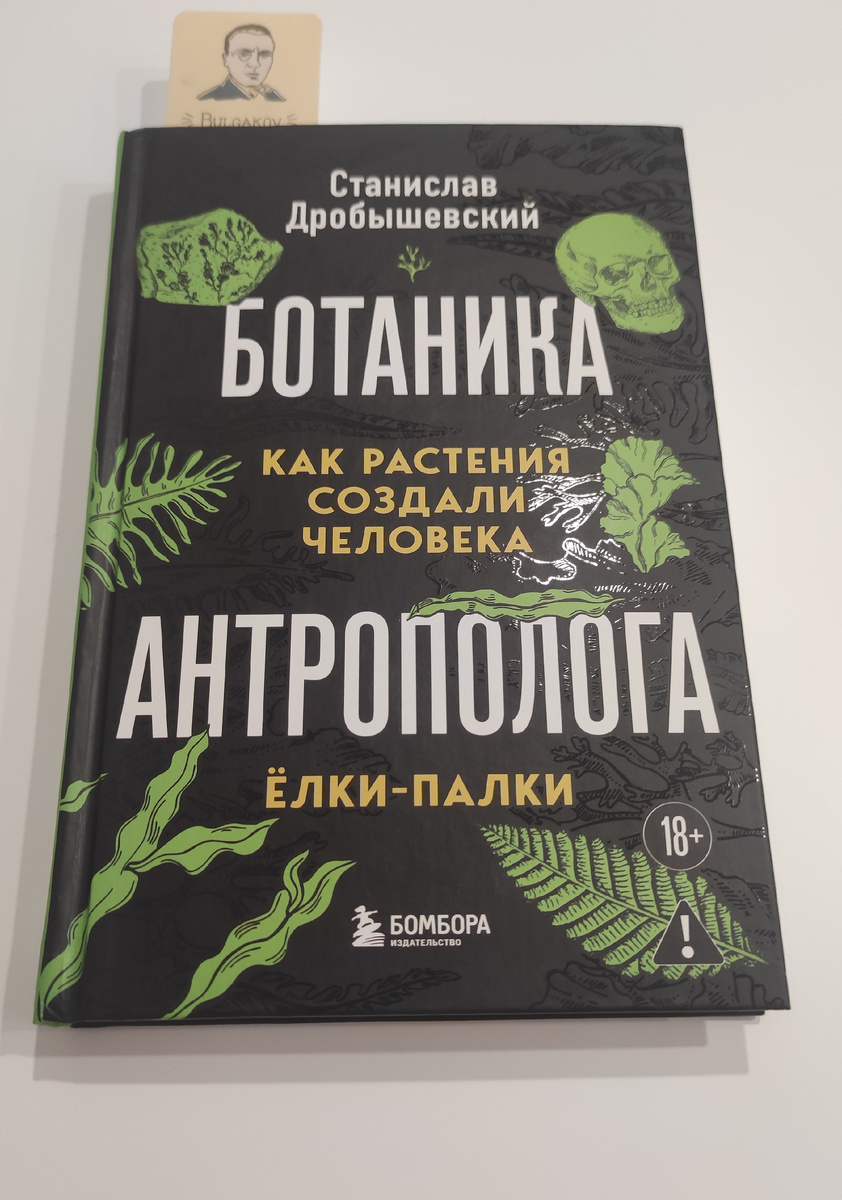 Та самая книга, которую подарила себе на НГ
