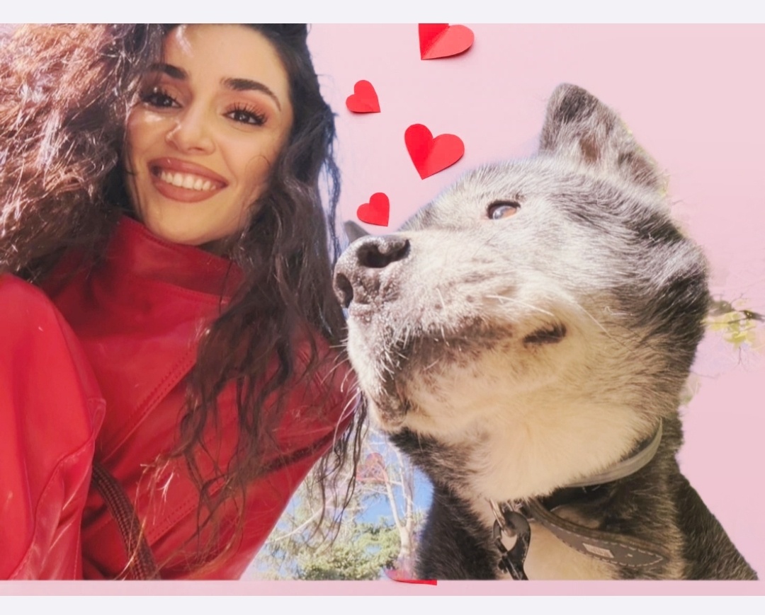 Открытые источники 