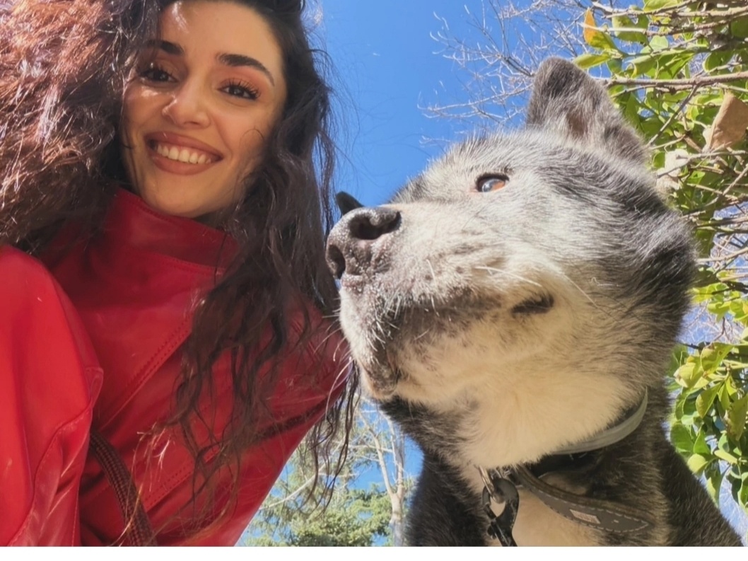 Открытые источники 