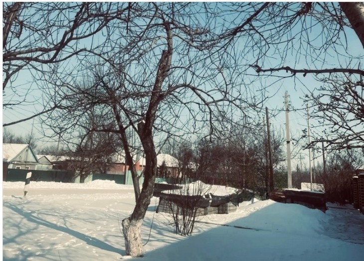    природа Редакция Газеты