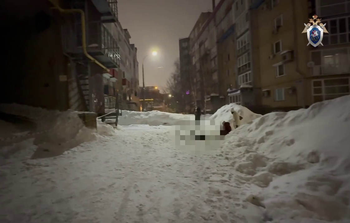 Официальный Telegram-канал Следственного комитета РФ по Нижегородской области