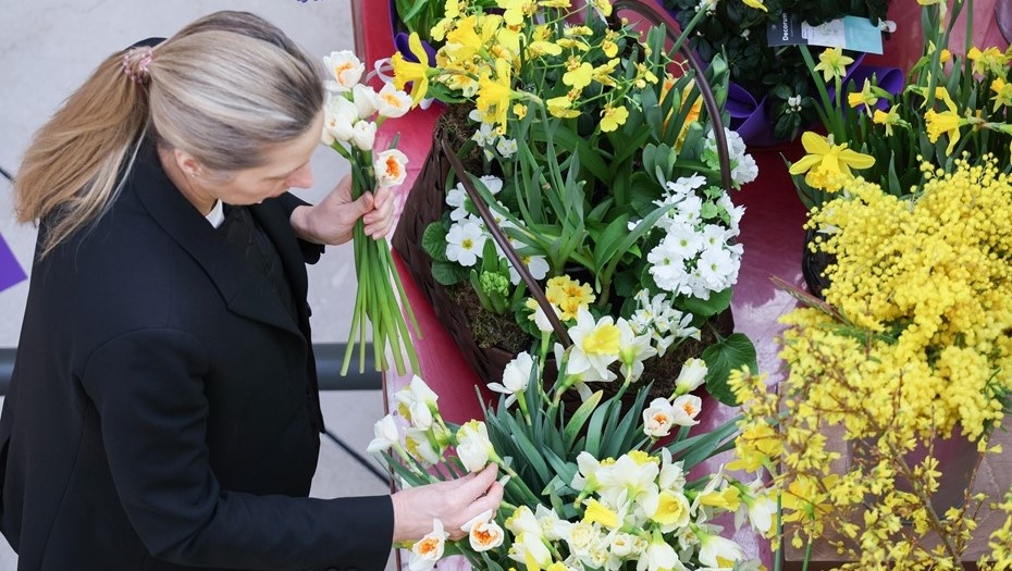    Автор фото: ТАСС