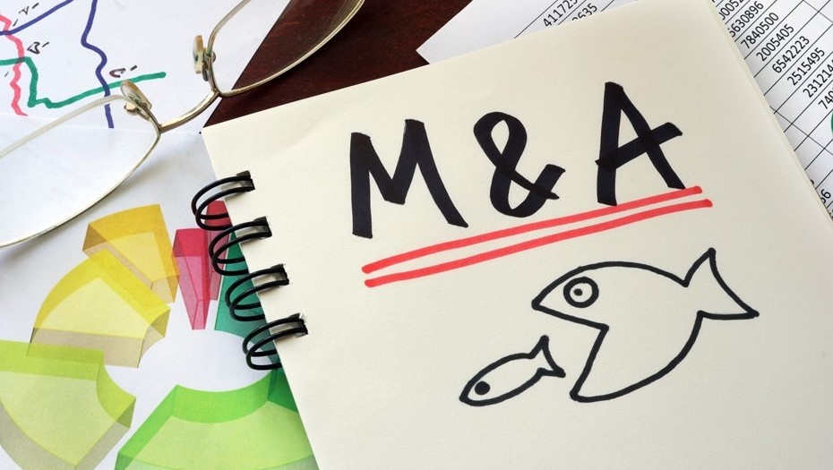    Продать бизнес крупному игроку в некоторых случаях выгоднее, чем продолжать развивать его самостоятельно Автор фото: Vitalii Vodolazskyi/Shutterstock/FOTODOM