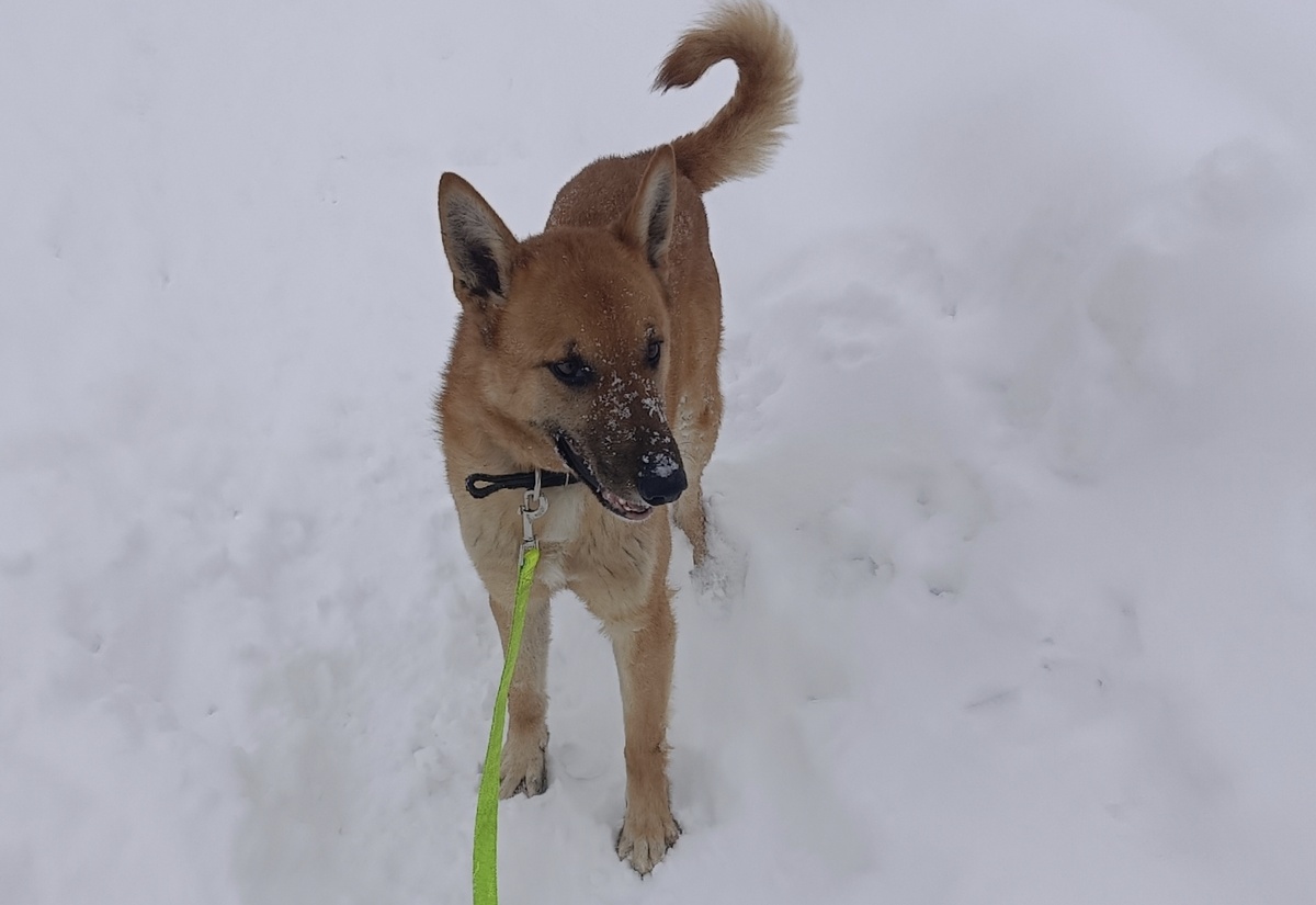 Не болей, малыш.