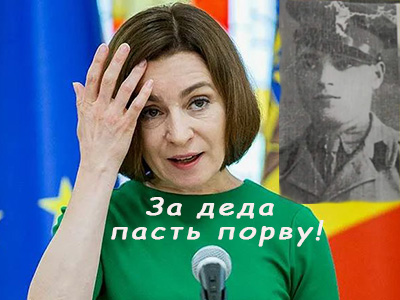 Подписывайтесь на наш канал "Нарполит" и не упустите свежие политические тренды!