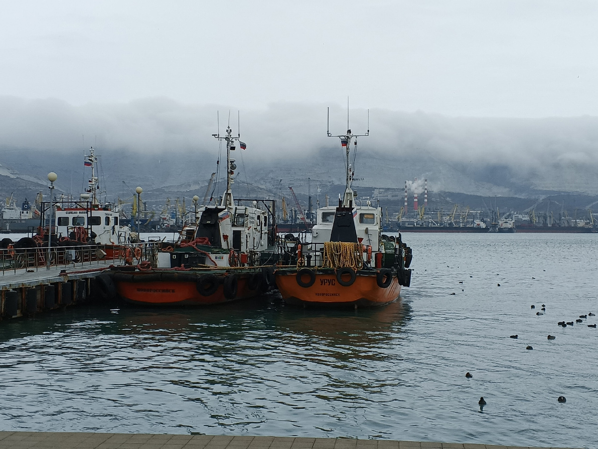 Буксиры. Фото Галины Малышевой.