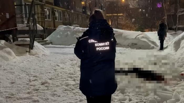 Обложка © Telegram / Нижегородский Следком