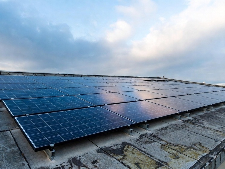     Фото: генерация Grok