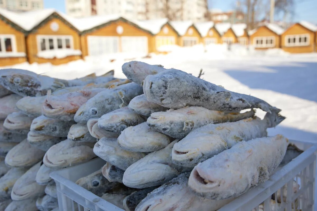   Камчатское ООО «Морозко» нарушило требования маркировки 1,3 тонны наваги