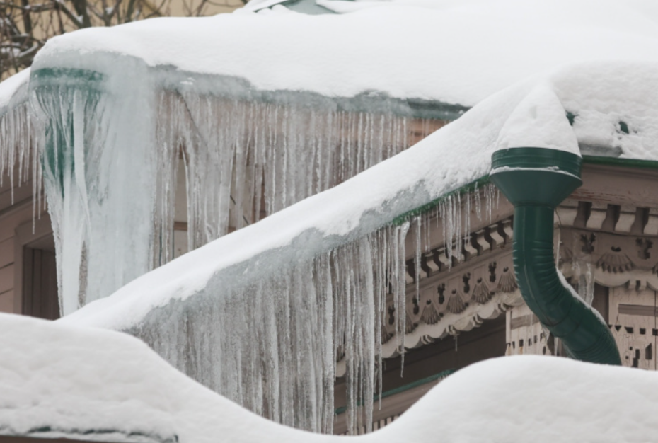    Наталья Шатохина/NEWS.ru