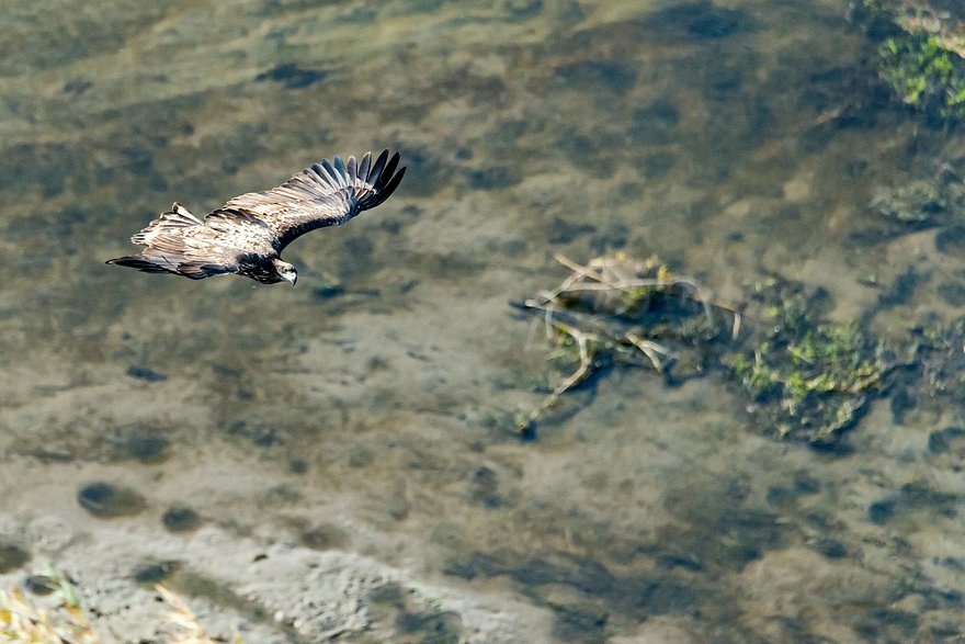    Фото: Serguei Fomine / Global Look Press