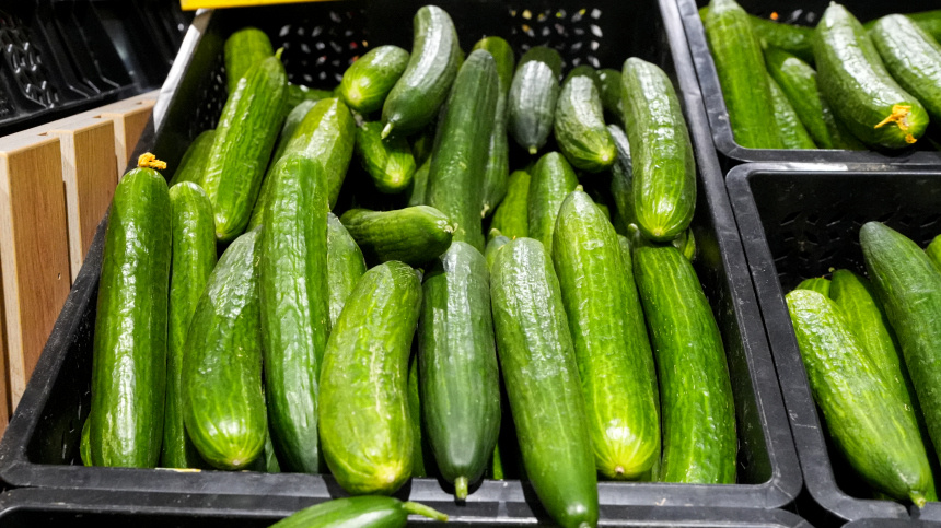    Фото: ИЗВЕСТИЯ/Андрей Эрштрем; 5-tv.ru