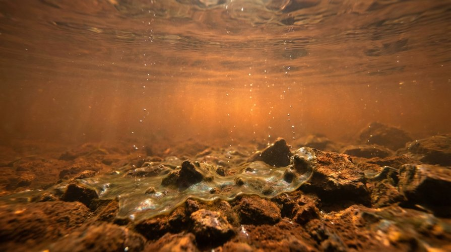 Миллиарды лет назад на Марсе вполне могли быть океаны жидкой воды и простейшие формы жизни. Сейчас вода осталась лишь в виде льда