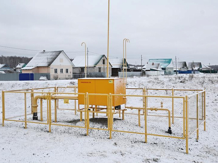     Фото: Юлия Боровикова («Вечерний Челябинск»)