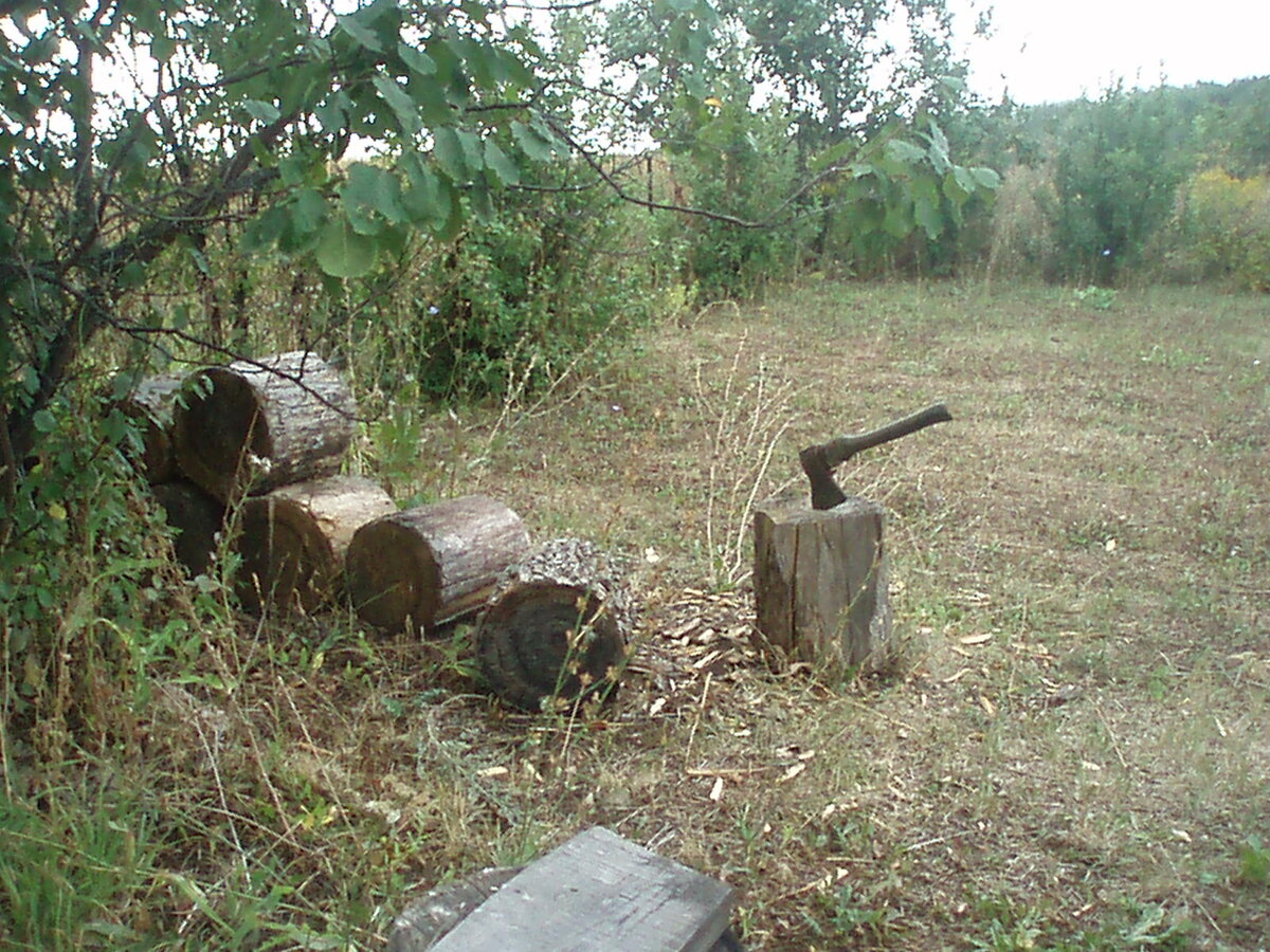 Мой бывший участок земли...