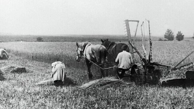 Взято из открытых источников интернета Яндекс.