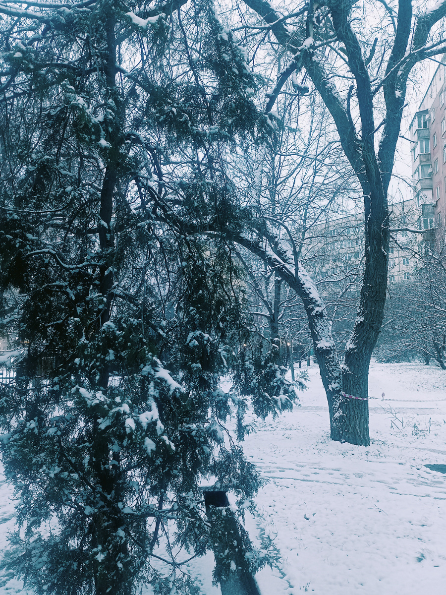 Фото автора.