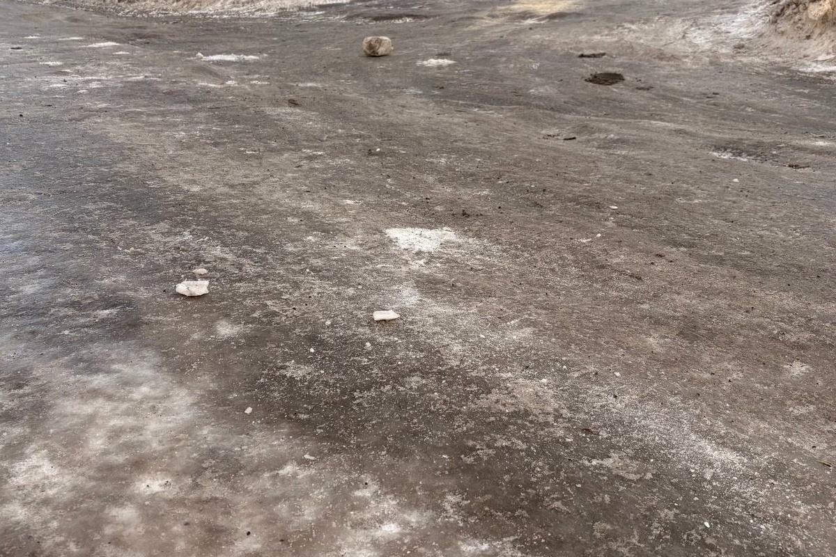    Фото: Прецедент