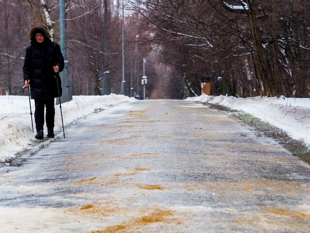    Фото: Москва 24/Лидия Широнина