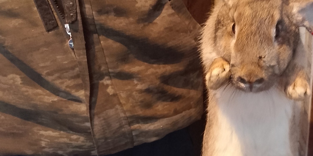 Сложные трое суток