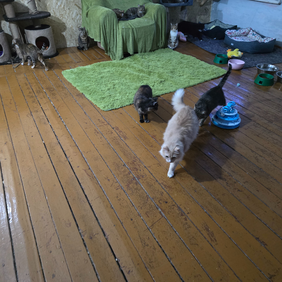 малыши играют забыв про голодные дни