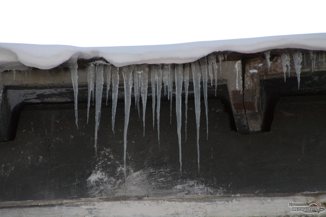    Фото Ольга Аникина © ИА «Уральский меридиан»