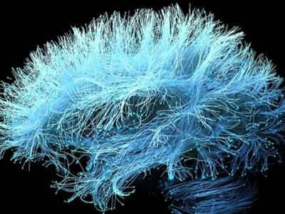    Стартап Merge Labs хочет «читать мысли» ультразвуком и уже обзавёлся поддержкой OpenAI