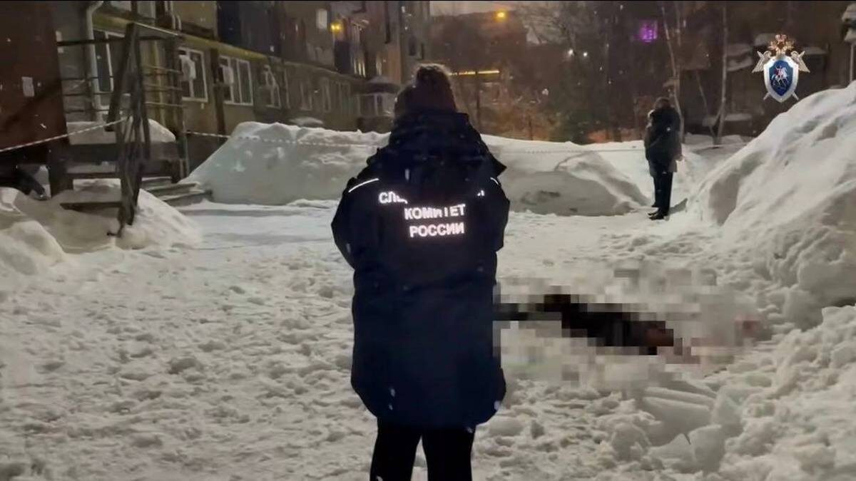    Фото: Telegram / Нижегородский Следком